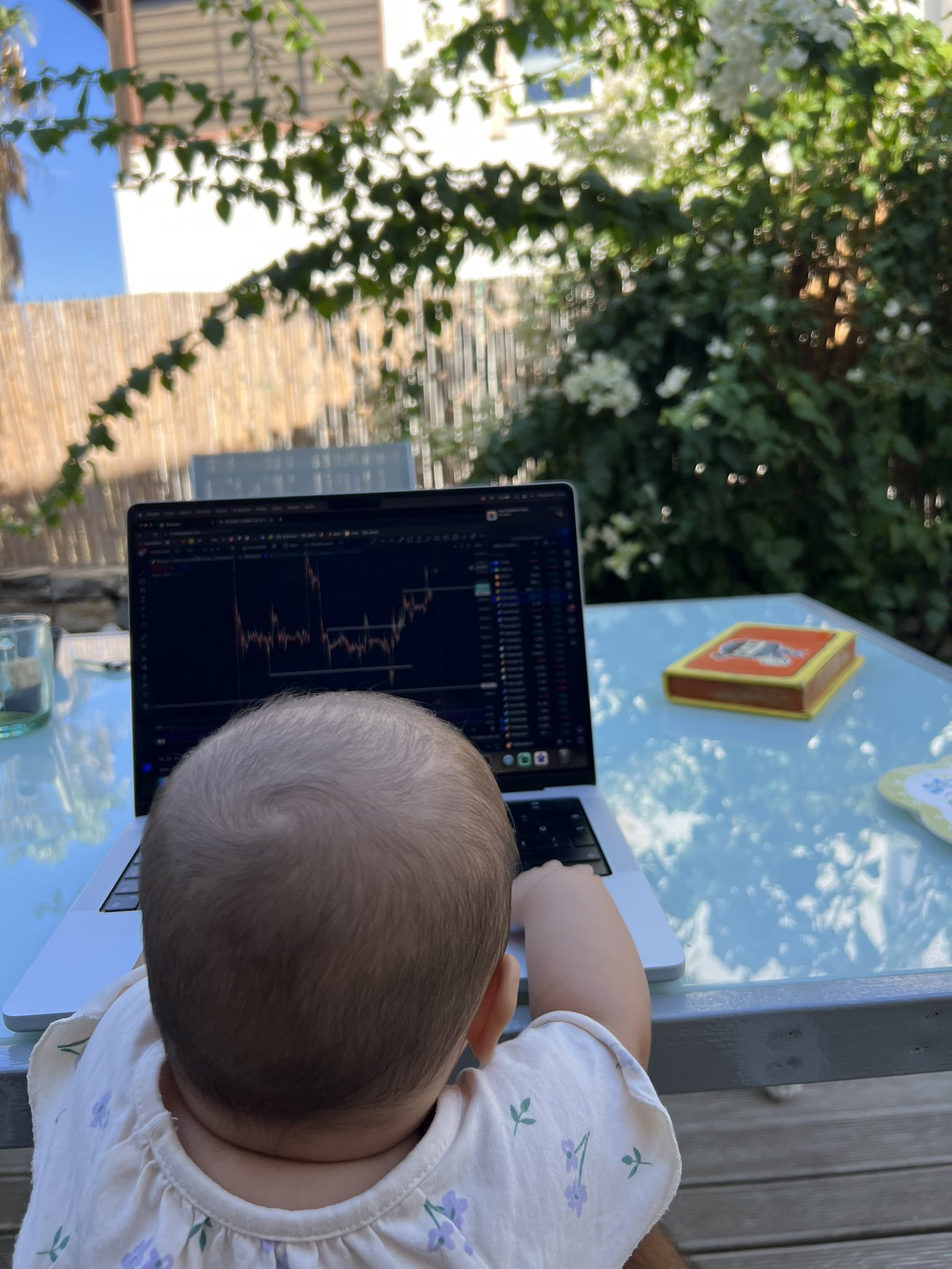 Фото от Crypto Melih🥷