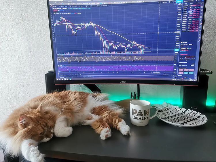 TradingView Chart bei Instagram @cryptokitku