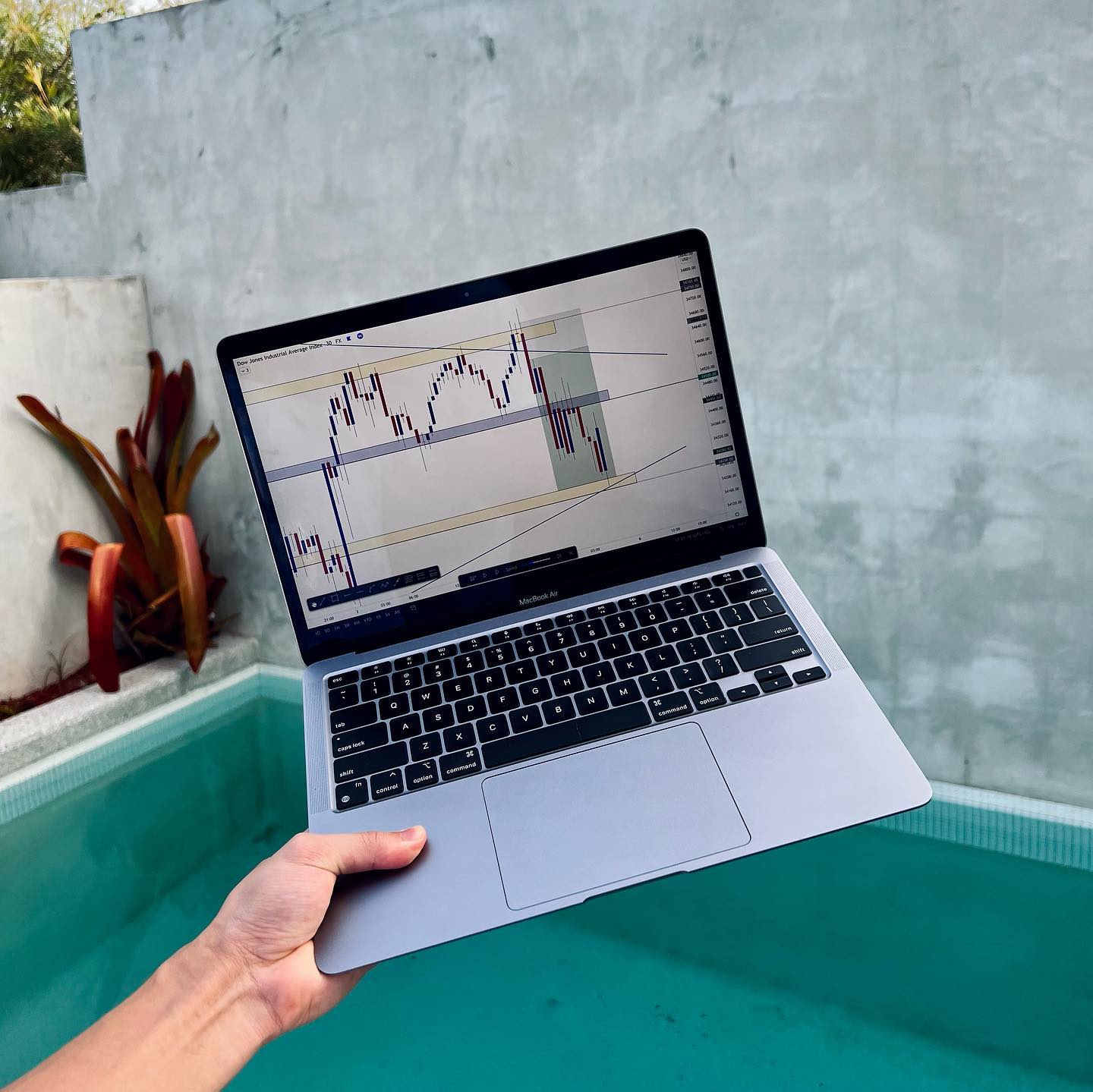 Фото от thecurrencydon